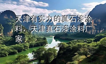 天津有實(shí)力的真石漆涂料，天津真石漆涂料廠家