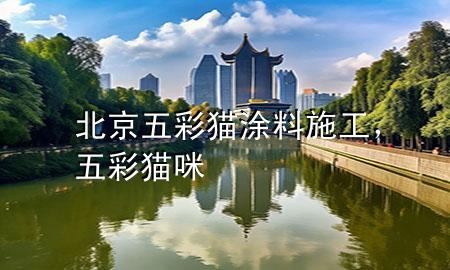 北京五彩貓涂料施工，五彩貓咪