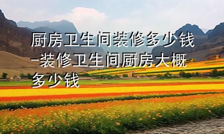 廚房衛(wèi)生間裝修多少錢-裝修衛(wèi)生間廚房大概多少錢