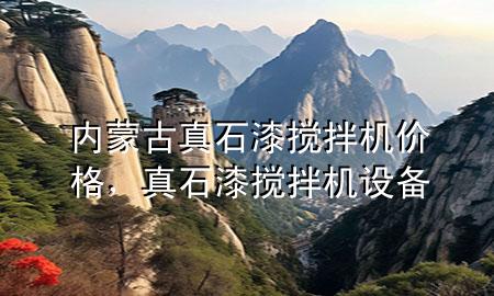 內(nèi)蒙古真石漆攪拌機(jī)價(jià)格，真石漆攪拌機(jī)設(shè)備