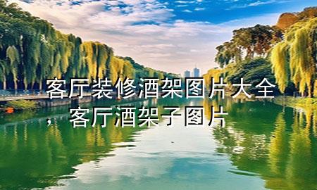 客廳裝修酒架圖片大全，客廳酒架子圖片