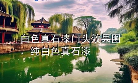 白色真石漆門(mén)頭效果圖，純白色真石漆