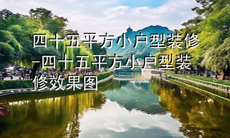 四十五平方小戶型裝修-四十五平方小戶型裝修效果圖