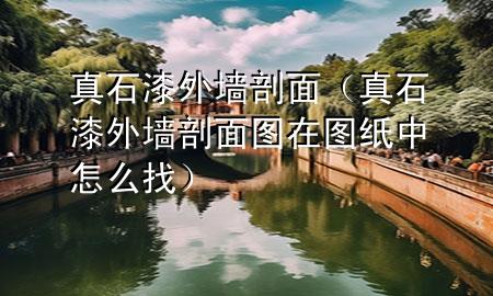 真石漆外墻剖面（真石漆外墻剖面圖在圖紙中怎么找）