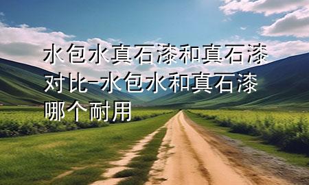 水包水真石漆和真石漆對(duì)比-水包水和真石漆哪個(gè)耐用