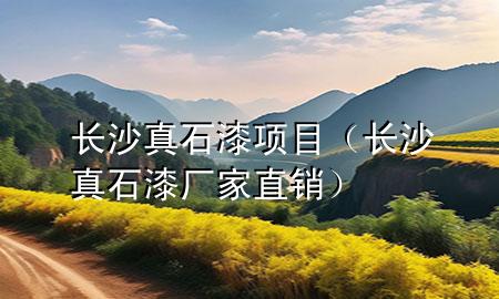 長沙真石漆項目（長沙真石漆廠家直銷）