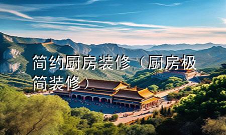 簡約廚房裝修（廚房極簡裝修）