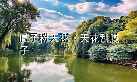 膩子粉天花（天花刮膩子）