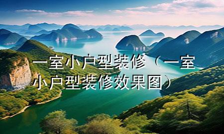 一室小戶型裝修（一室小戶型裝修效果圖）