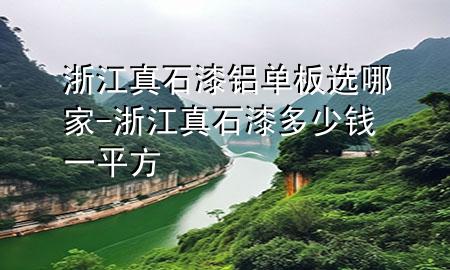 浙江真石漆鋁單板選哪家-浙江真石漆多少錢一平方