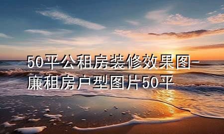 50平公租房裝修效果圖-廉租房戶型圖片50平
