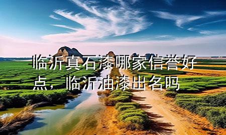 臨沂真石漆哪家信譽(yù)好點(diǎn)，臨沂油漆出名嗎
