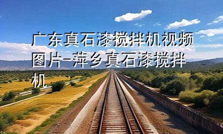 廣東真石漆攪拌機(jī)視頻圖片-萍鄉(xiāng)真石漆攪拌機(jī)