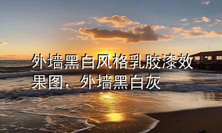 外墻黑白風(fēng)格乳膠漆效果圖，外墻黑白灰