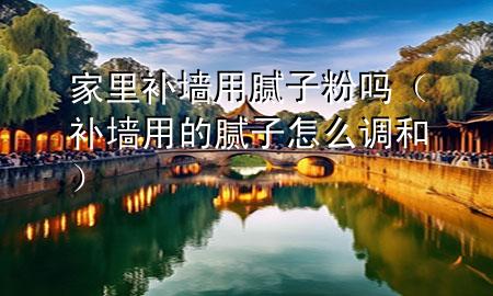 家里補(bǔ)墻用膩子粉嗎（補(bǔ)墻用的膩子怎么調(diào)和）
