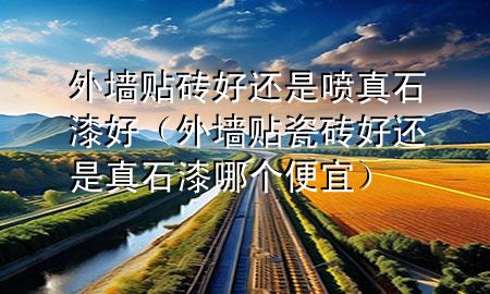 外墻貼磚好還是噴真石漆好（外墻貼瓷磚好還是真石漆哪個(gè)便宜）