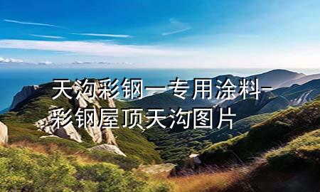 天溝彩鋼一專(zhuān)用涂料-彩鋼屋頂天溝圖片