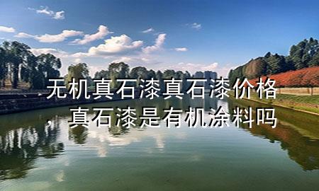 無機真石漆真石漆價格，真石漆是有機涂料嗎