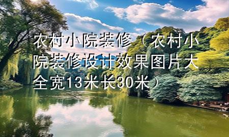 農(nóng)村小院裝修（農(nóng)村小院裝修設(shè)計效果圖片大全寬13米長30米）