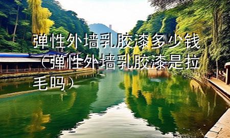 彈性外墻乳膠漆多少錢（彈性外墻乳膠漆是拉毛嗎）