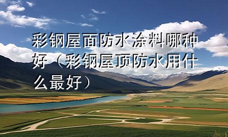彩鋼屋面防水涂料哪種好（彩鋼屋頂防水用什么最好）