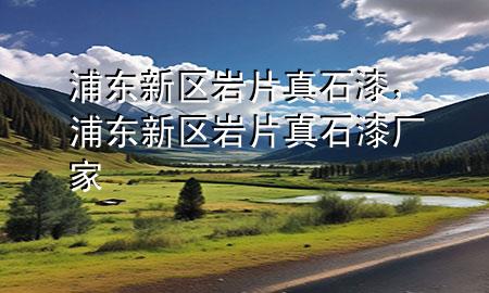 浦東新區(qū)巖片真石漆，浦東新區(qū)巖片真石漆廠家