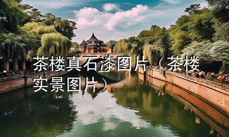 茶樓真石漆圖片（茶樓實景圖片）