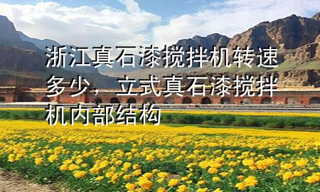 浙江真石漆攪拌機轉(zhuǎn)速多少，立式真石漆攪拌機內(nèi)部結(jié)構(gòu)
