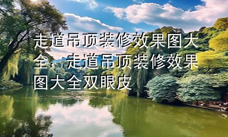 走道吊頂裝修效果圖大全，走道吊頂裝修效果圖大全雙眼皮