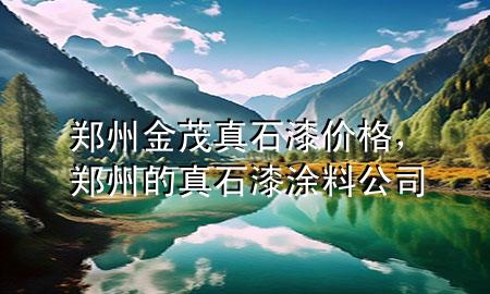 鄭州金茂真石漆價格，鄭州的真石漆涂料公司