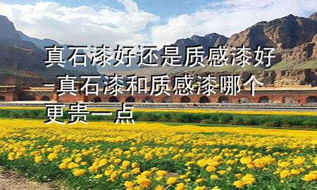 真石漆好還是質(zhì)感漆好-真石漆和質(zhì)感漆哪個(gè)更貴一點(diǎn)