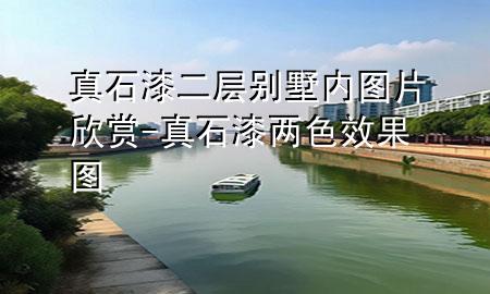 真石漆二層別墅內(nèi)圖片欣賞-真石漆兩色效果圖