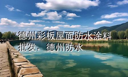 德州彩板屋面防水涂料批發(fā)，德州 防水