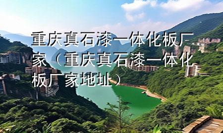 重慶真石漆一體化板廠家（重慶真石漆一體化板廠家地址）