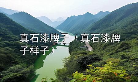 真石漆 牌子（真石漆牌子樣子）