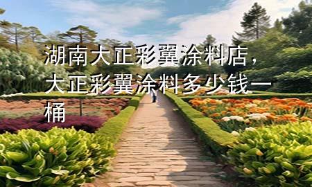 湖南大正彩翼涂料店，大正彩翼涂料多少錢一桶