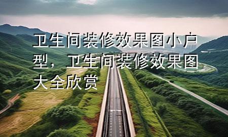 衛(wèi)生間裝修效果圖小戶型，衛(wèi)生間裝修效果圖大全欣賞