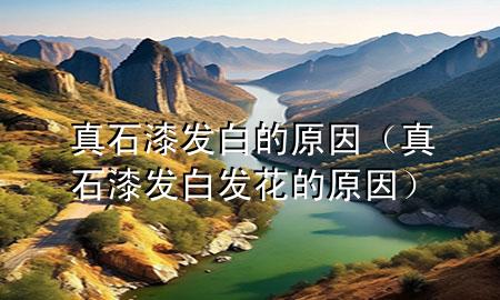 真石漆發(fā)白的原因(真石漆發(fā)白發(fā)花的原因)