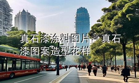 真石漆涂料圖片，真石漆圖案造型花樣