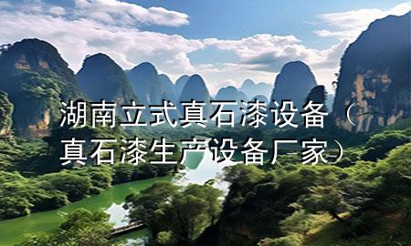 湖南立式真石漆設(shè)備(真石漆生產(chǎn)設(shè)備廠家)
