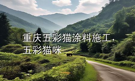 重慶五彩貓涂料施工，五彩貓咪