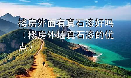 樓房外面有真石漆好嗎(樓房外墻真石漆的優(yōu)點(diǎn))
