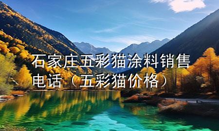 石家莊五彩貓涂料銷售電話（五彩貓價(jià)格）