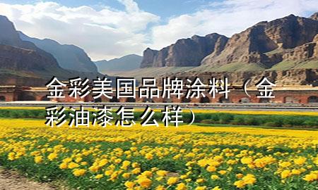 金彩美國品牌涂料（金彩油漆怎么樣）