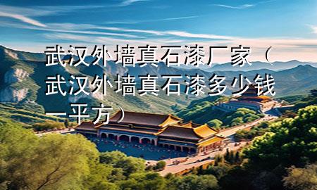 武漢外墻真石漆廠家(武漢外墻真石漆多少錢一平方)