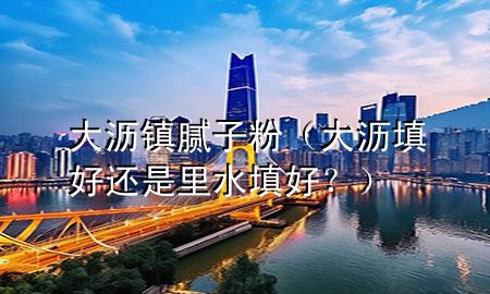 大瀝鎮(zhèn)膩子粉（大瀝填好還是里水填好？）