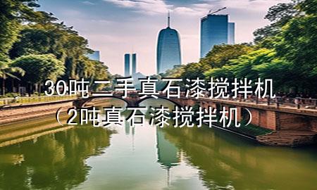 30噸二手真石漆攪拌機(jī)(2噸真石漆攪拌機(jī))