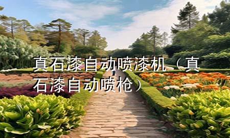 真石漆自動噴漆機(jī)(真石漆自動噴槍)