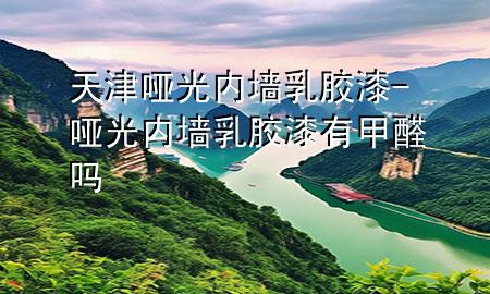 天津啞光內(nèi)墻乳膠漆-啞光內(nèi)墻乳膠漆有甲醛嗎