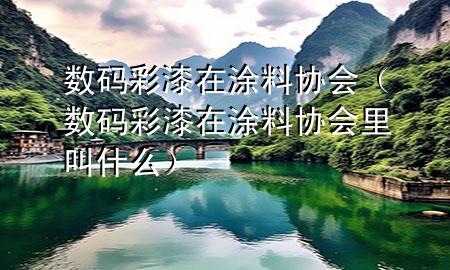 數(shù)碼彩漆在涂料協(xié)會(數(shù)碼彩漆在涂料協(xié)會里叫什么)